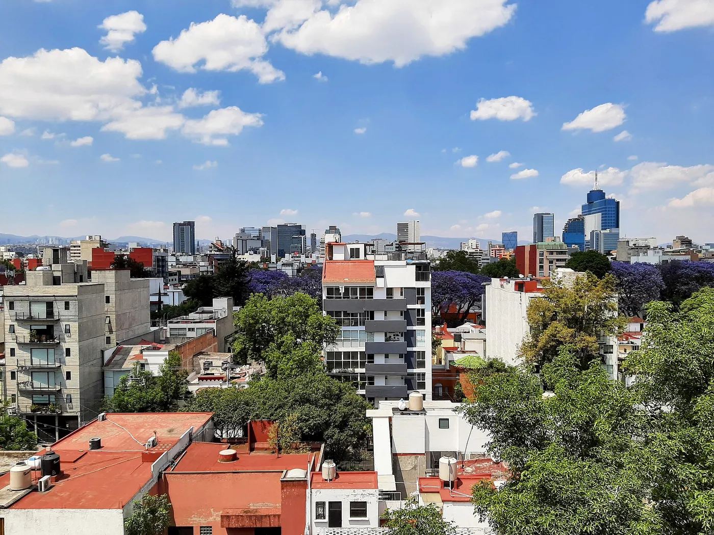 Vista de la Colonia del Valle con jacarandas, en la Ciudad de México